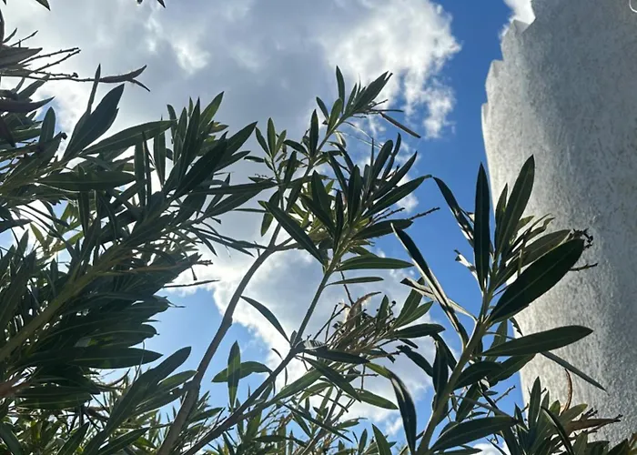 Umayra * Бодрум